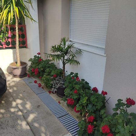 Apartments Ratkovic Требине Екстериор снимка