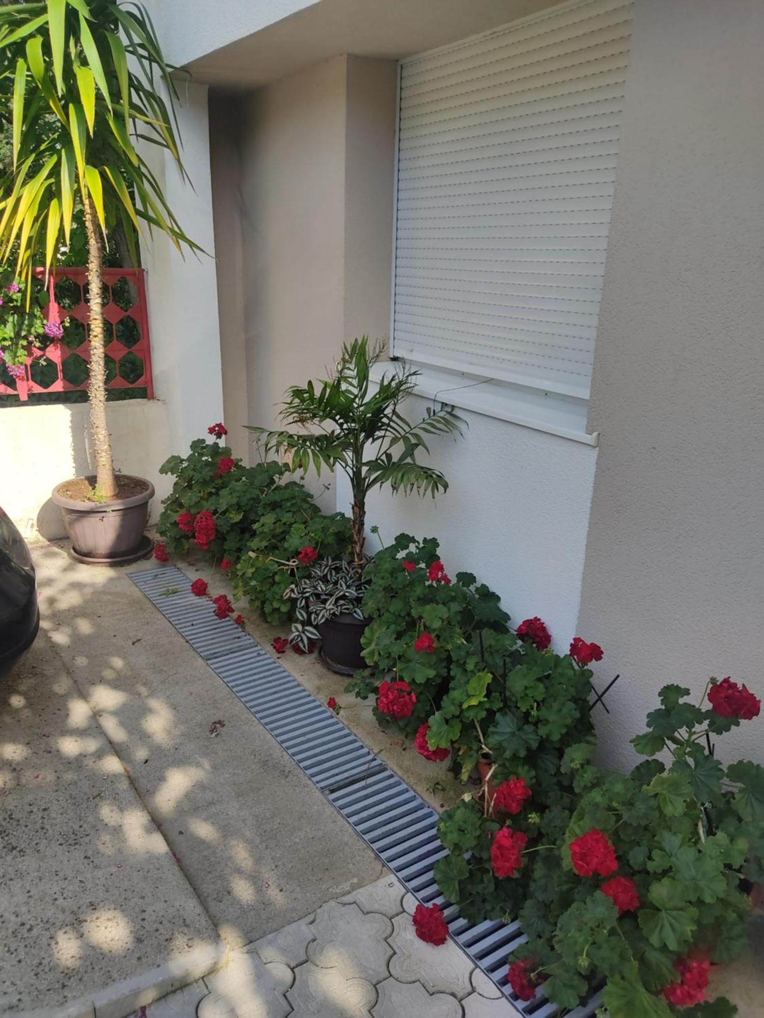 Apartments Ratkovic Требине Екстериор снимка